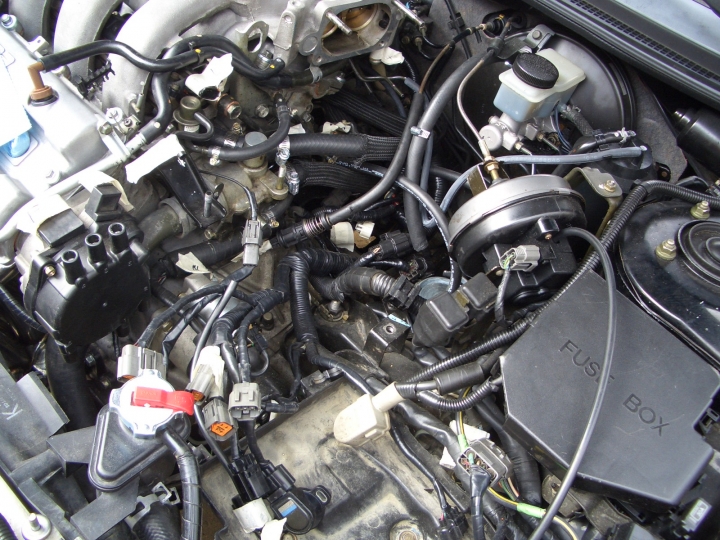 mx-6 wiring and hoses